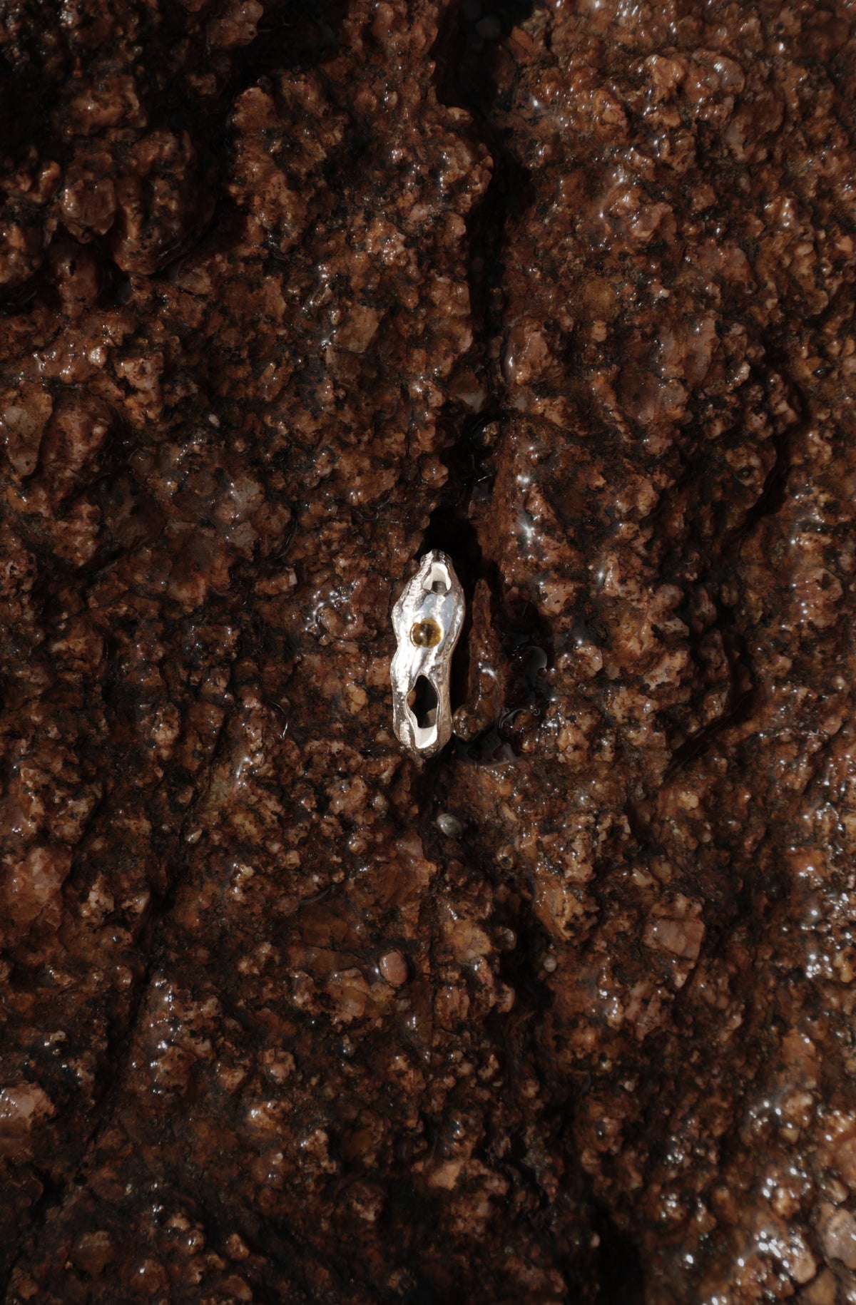 BAGUE MANIPURA