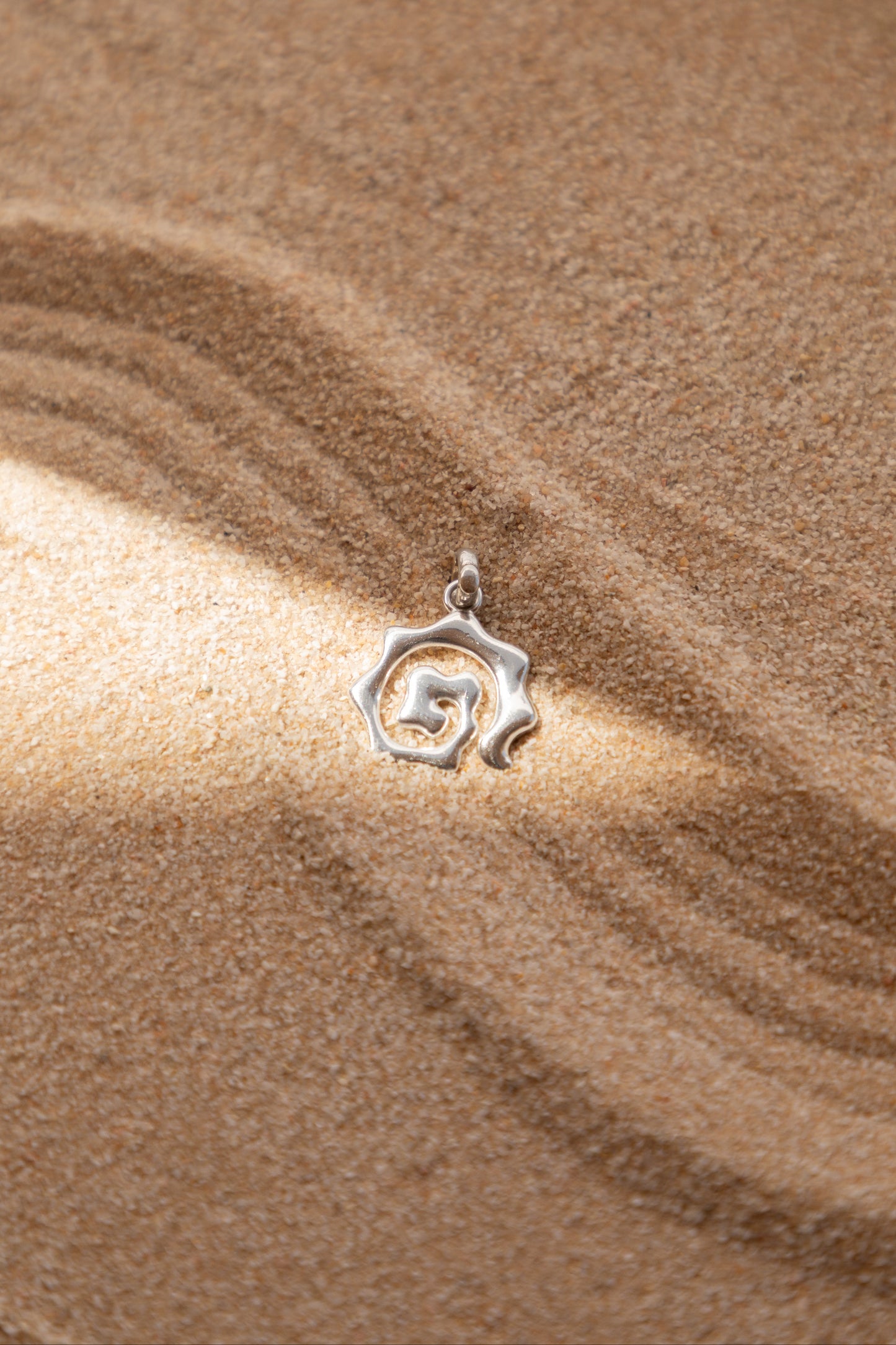 Charm Molask Plata Foto Bodegon