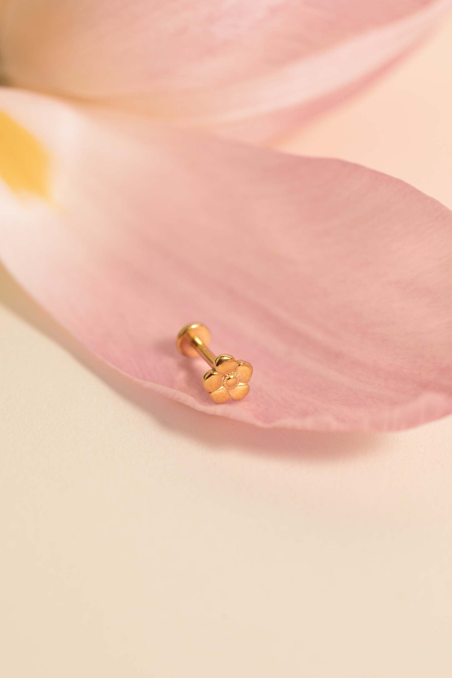 PIERCING CHAMELI BAÑADO EN ORO