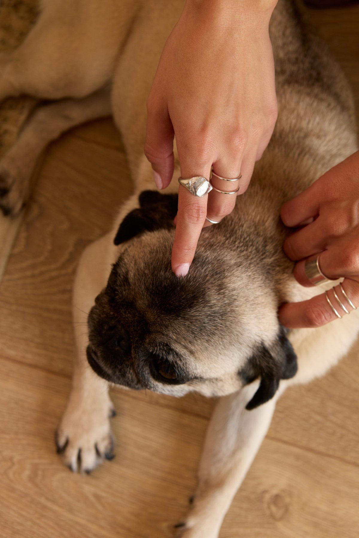 BAGUE ITIHAS
