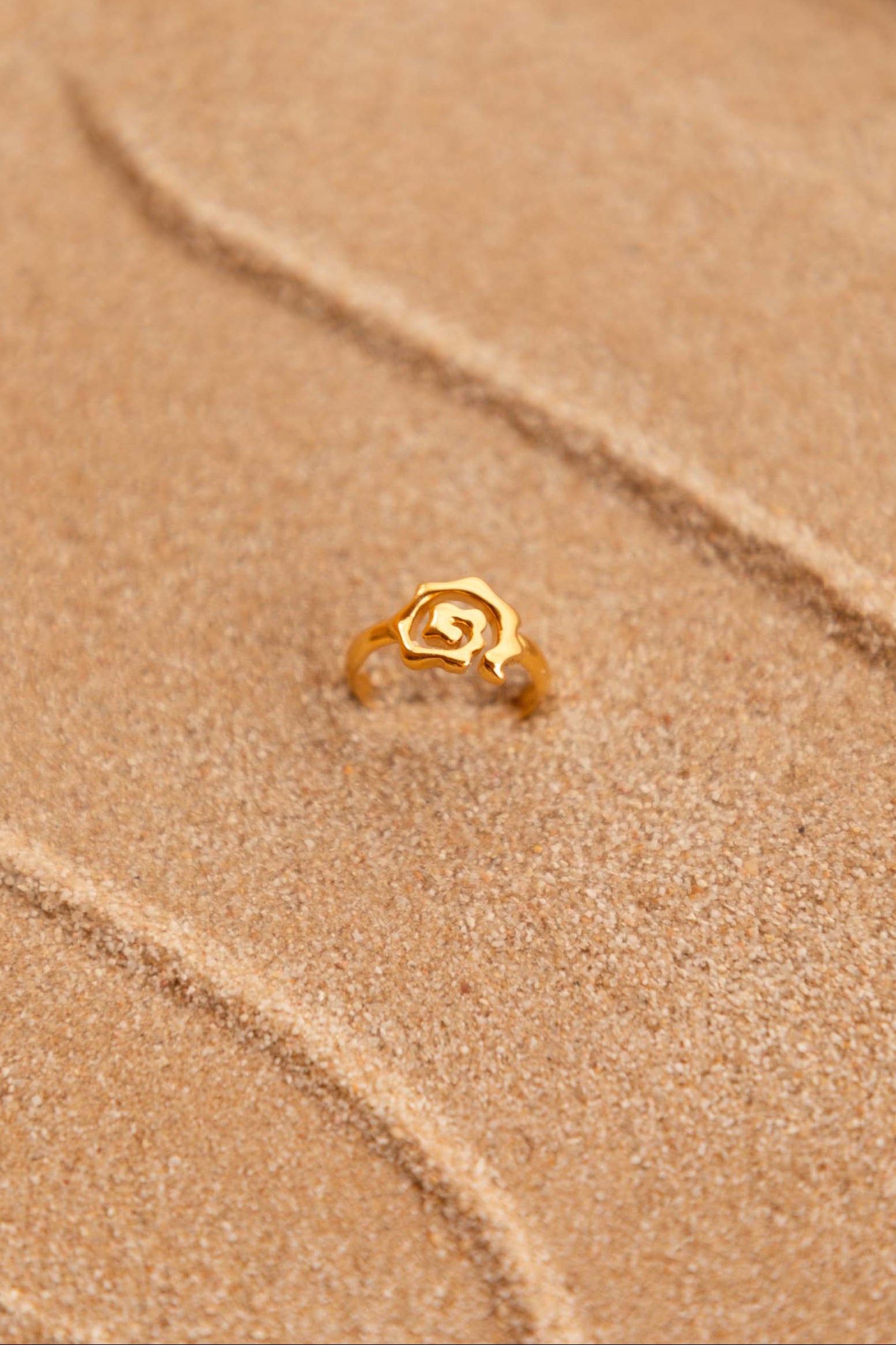 Anillo Subha Oro Foto Bodegon