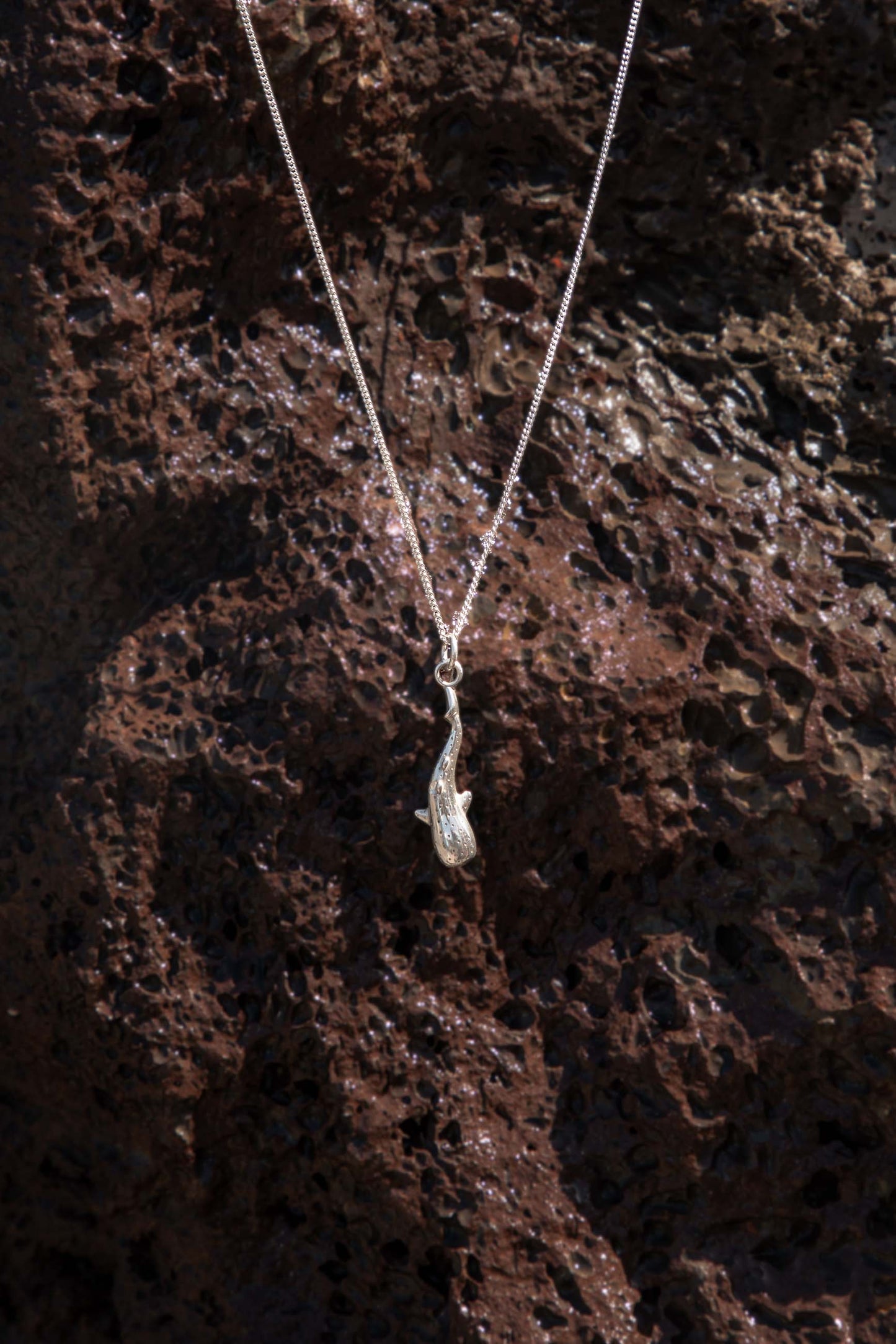 Collar AKILESH Plata Foto Bodegón