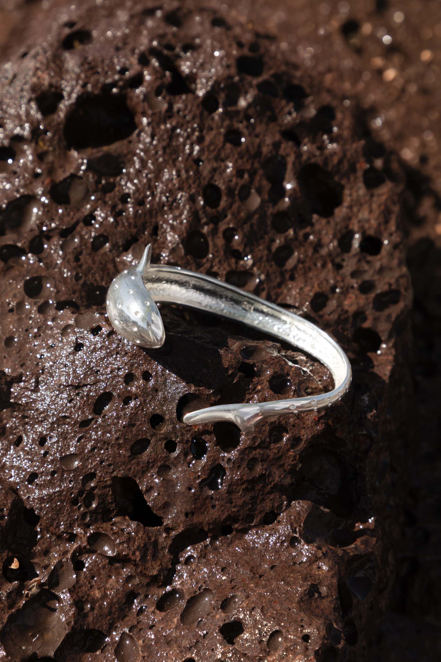 Brazalete SHANDAR Plata Foto Bodegón