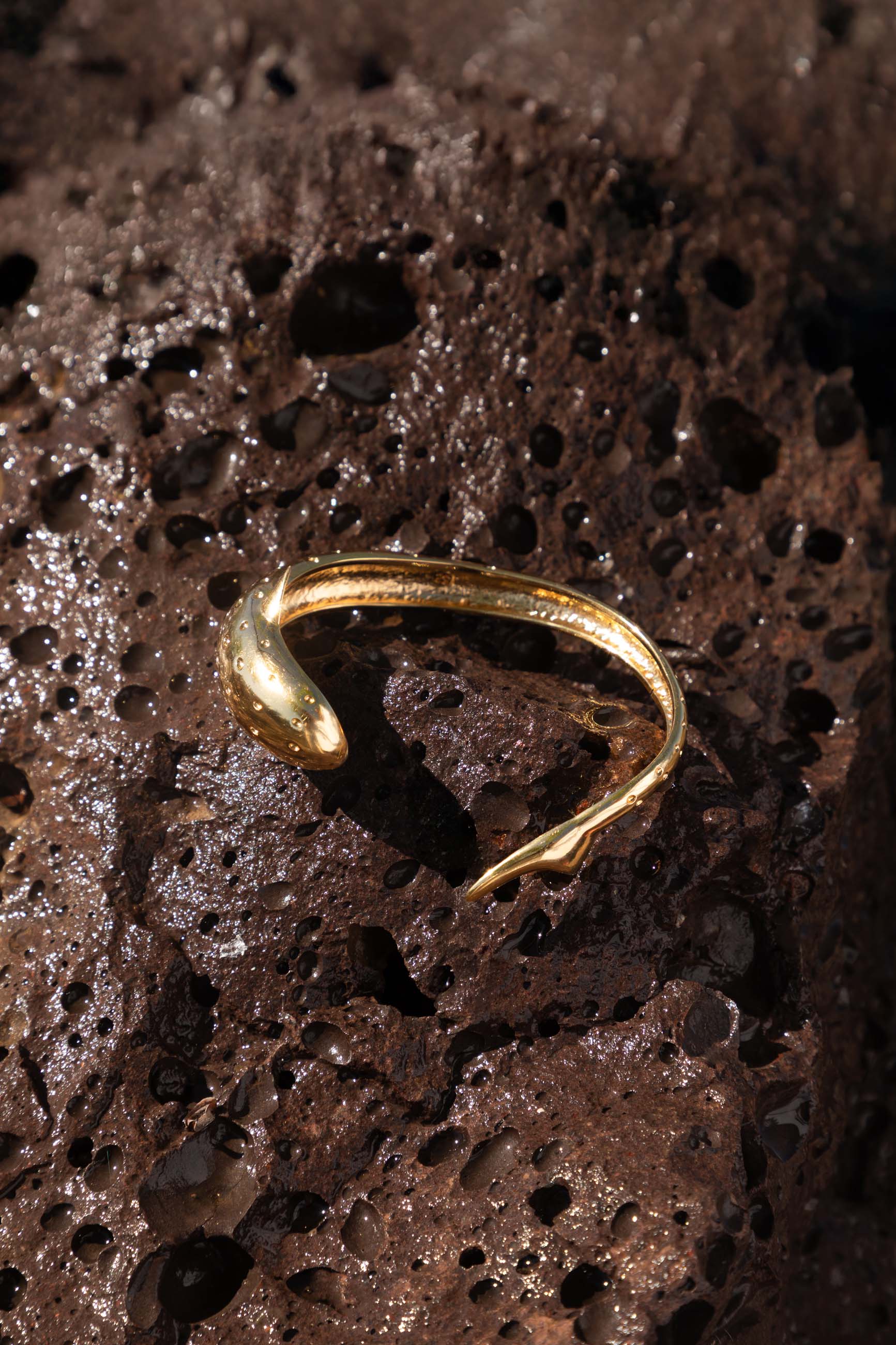 Brazalete SHANDAR Oro Foto Bodegón