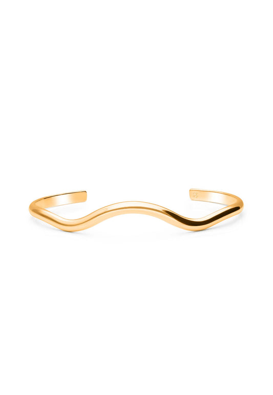 Brazalete Upayukt Oro Foto Blanco