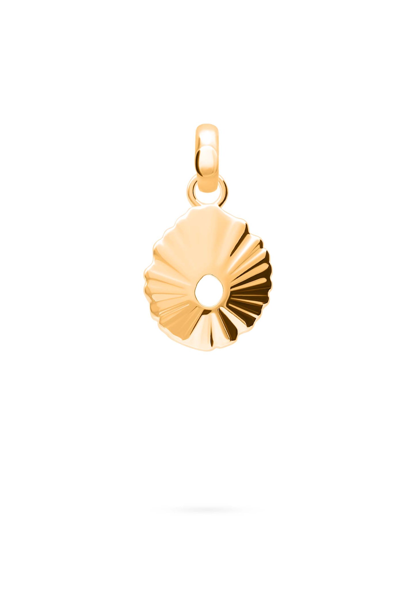 Charm Chipko Oro Foto Blanco