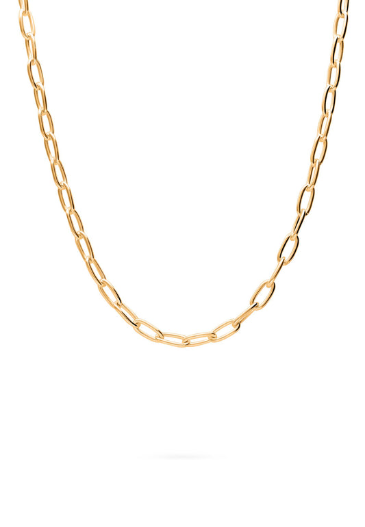 Collar Dilruba Oro Foto Blanco