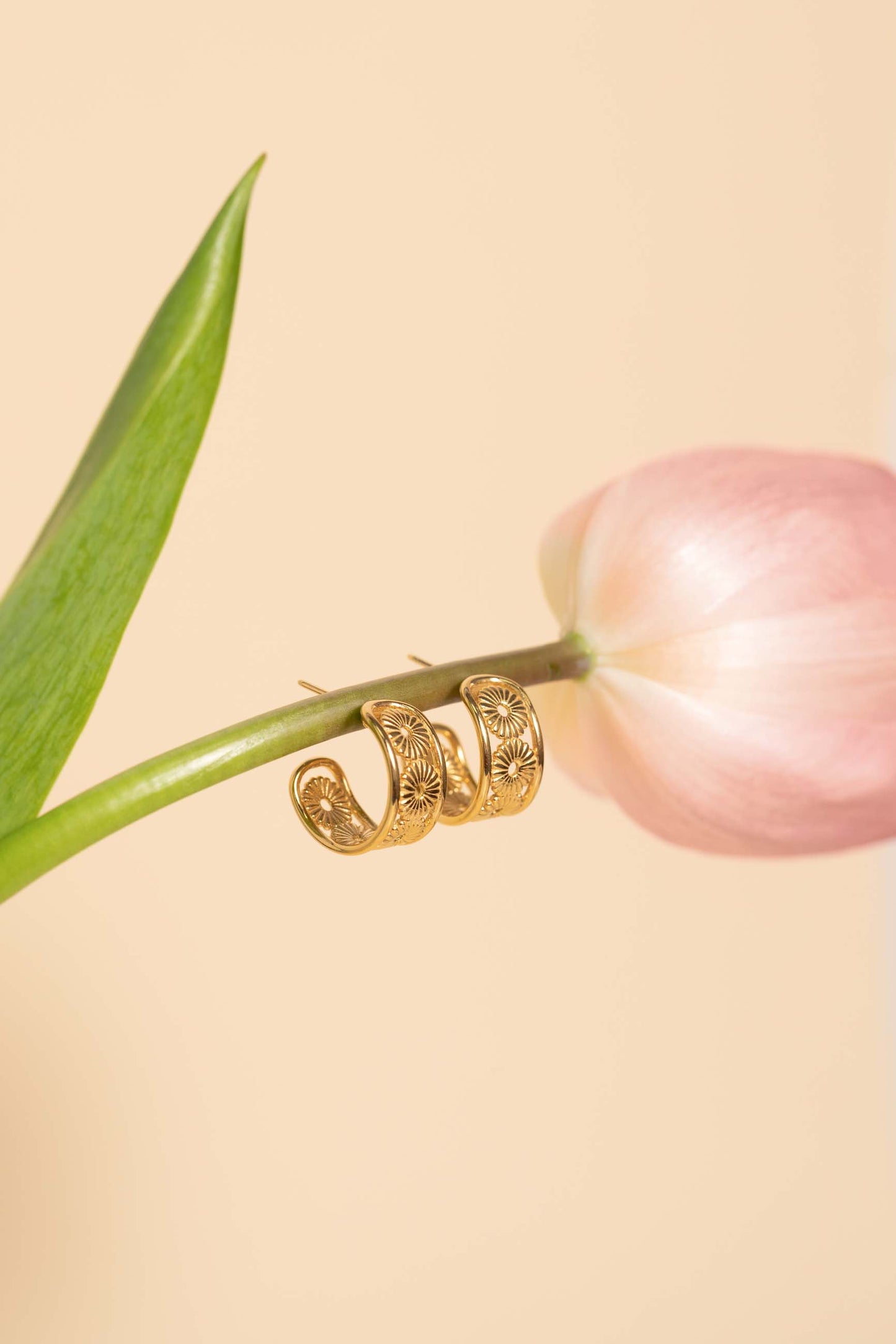 BOUCLES D’OREILLES PUSHPA (15MM) OR