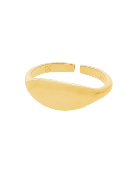 ANILLO PURNIT BAÑADO EN ORO