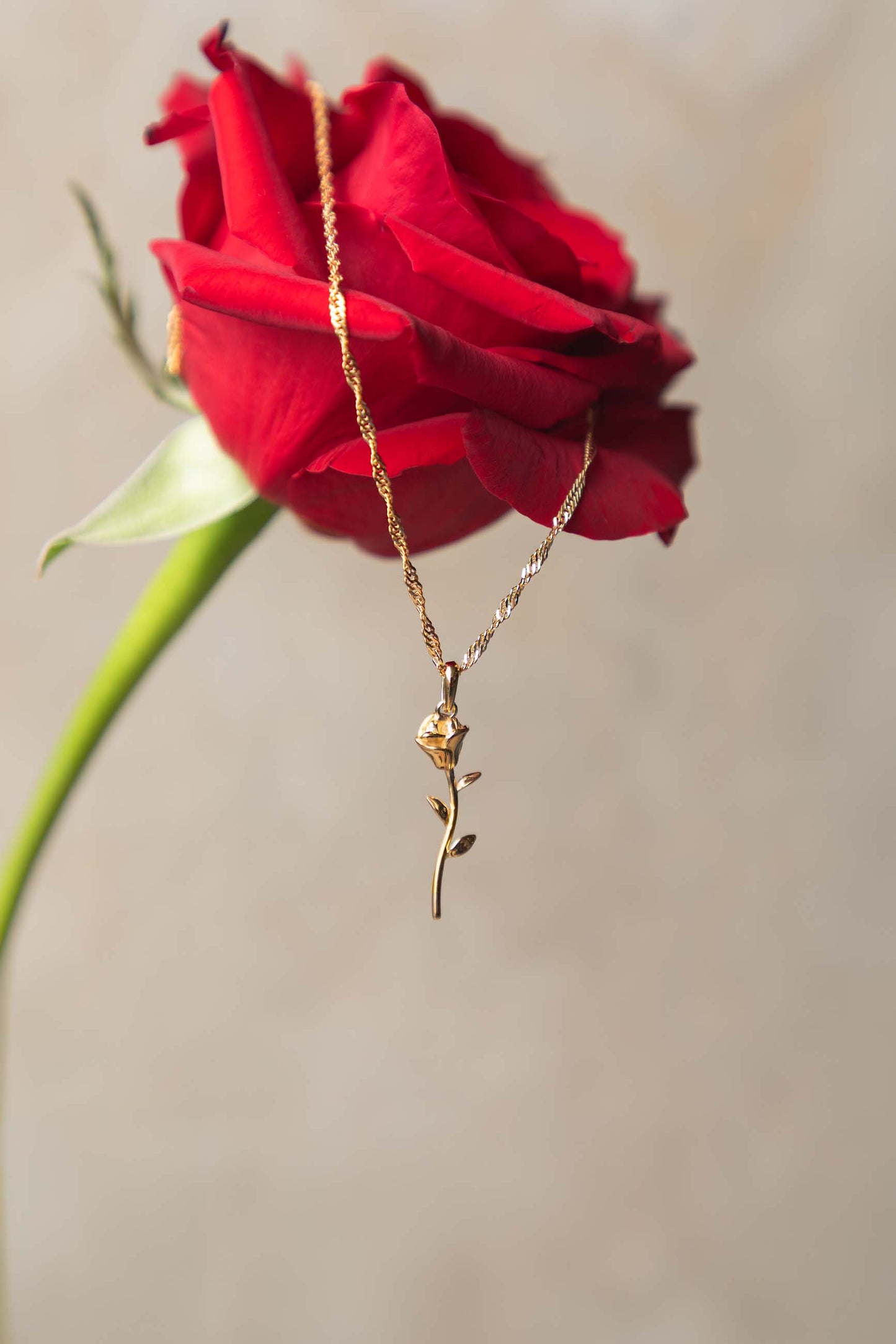  GULABE NECKLACE GOLD-PLATED