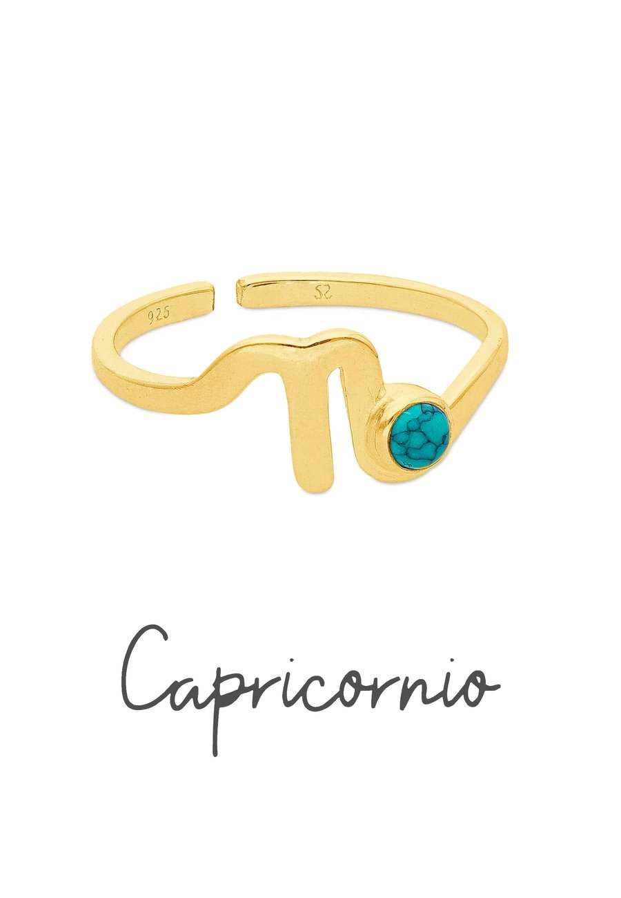 Anillo capricornio discount