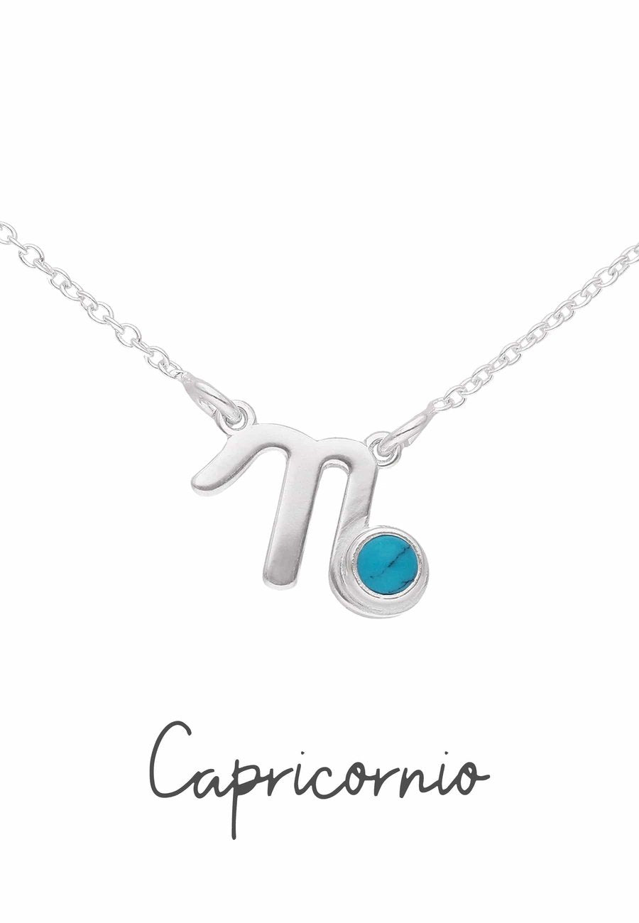YL Collana in argento sterling 925 CZ Oroscopo Zodiaco 12 YL Collana in argento sterling 925 CZ Oroscopo Zodiaco 12